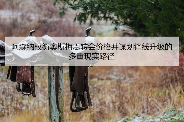 阿森纳权衡奥斯梅恩转会价格并谋划锋线升级的多重现实路径